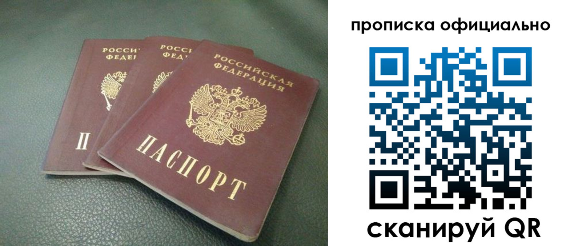 прописка для школы в Волосово
